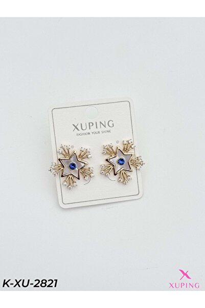 Bozhi Elegant Earrings Elegant Gift