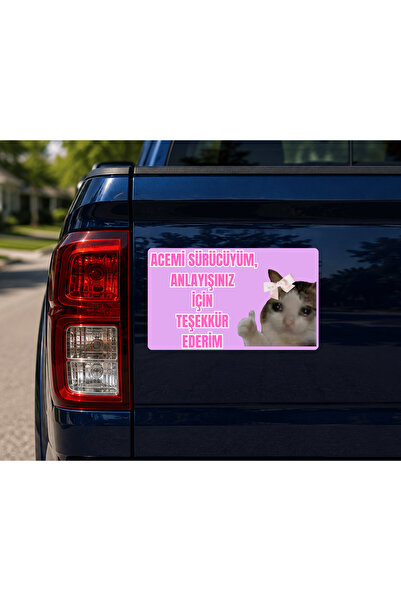 sticker Acemi Sürücü Mıknatıslı Araç Yazısı 15x25 cm – Sevimli Kedi Tasarımlı...