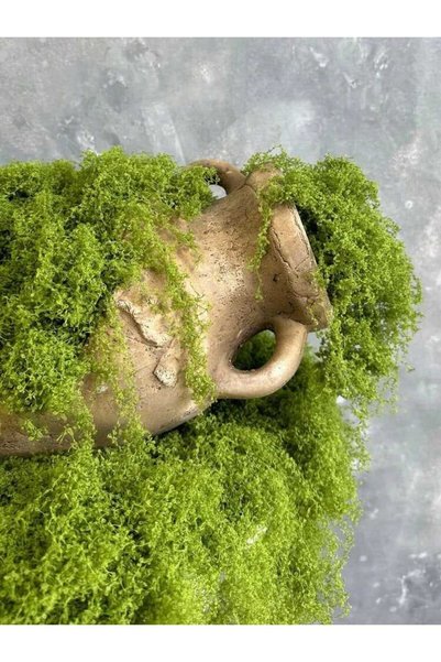 hyc heryerçiçeklenir Artificial Moss 25 Gr Decorative Green Moss