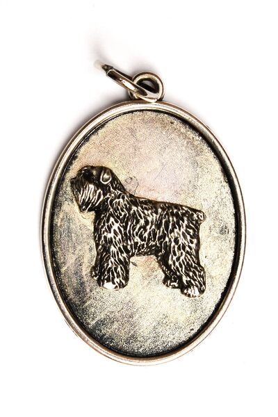 Art - Dog Colier pentru câini Bouvier des Flandres - Art-Dog