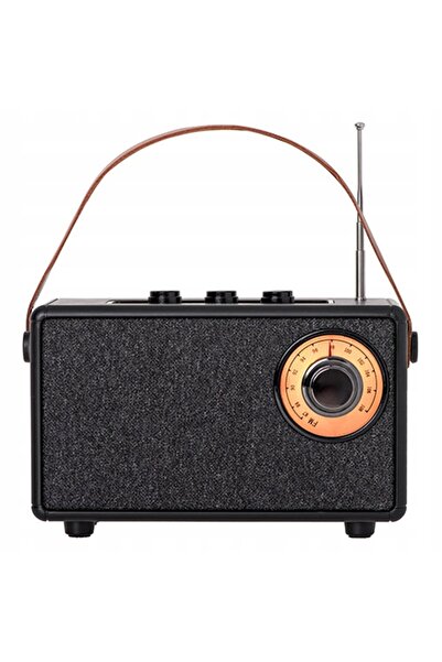 Camryn's Radio mic de bucătărie portabil FM Bluetooth 5.1 Aux TWS SD USB MP3 ...