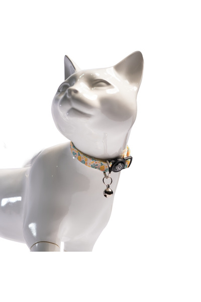 Regalia Citrus Bloom Cat & Kitten Collar