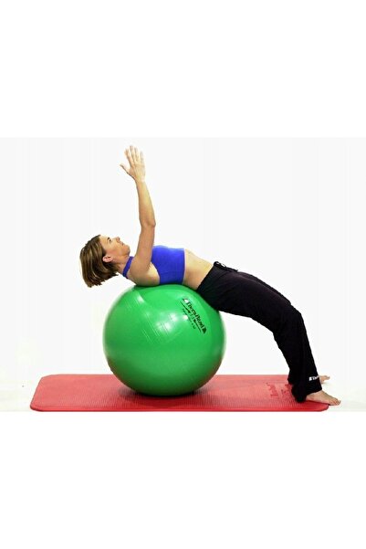 NO BRAND Minge de reabilitare pentru exerciții Happyback Togu 65