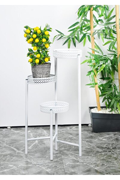 Maya Home 3 Bölmeli Saksılık