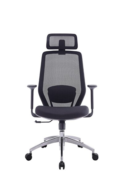 Fatio Ergonomic Office Chair | High Density Mould Sponge & Adjustable Headrest