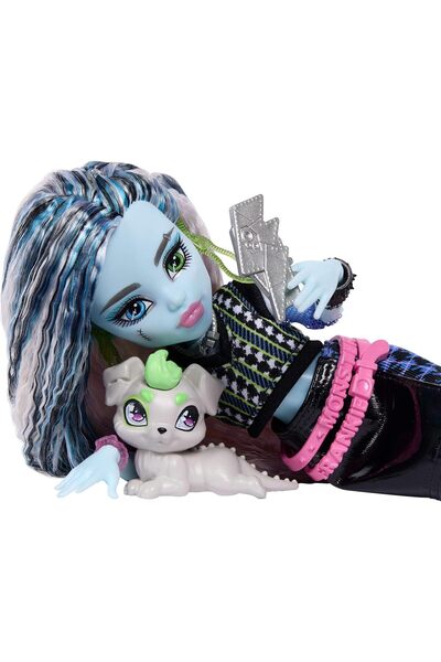 MONSTER HIGH FRANKIE STEIN Păpușă de bază JHK31