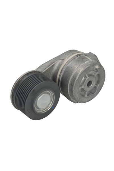 DAYCO Intinzator de Curea Accesorii Transmisie Daf Cf Cf 65 Lf Lf 45 Lf 55 Xb...