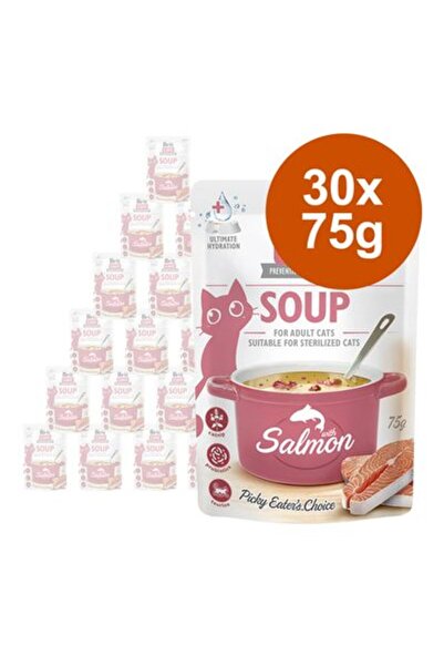 Brit Pachet economic Care supă pentru pisici 30 x 75 g Somon