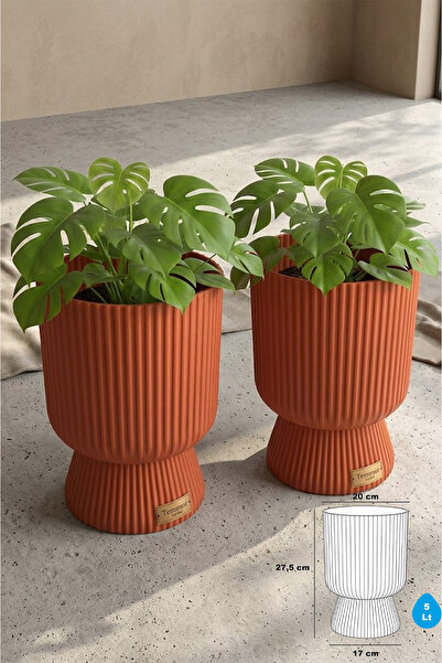 TEMMUZ HOME 2 Adet 5 Litre Büyük Boy Çizgili Ayaklı Saksı - Lotus 2 No (Deliksiz Bir Saksıdır)