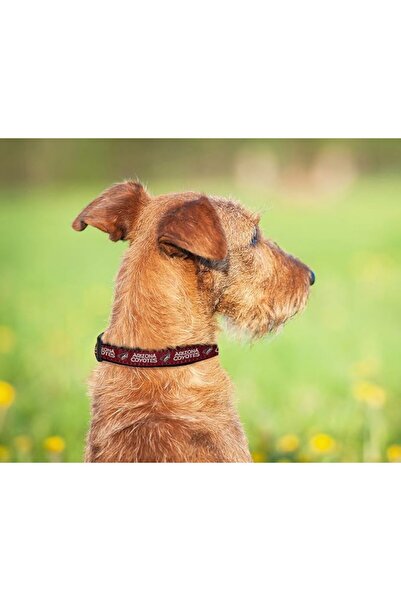 Pets First لعبة مطاطية للكلاب متينة مع حبل سحب قوي للكلاب. لعبة كرة هوكي الجل...