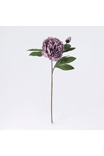 Generic New In Fernza Peony Reddish Violet Single Stem Purple H58Cm