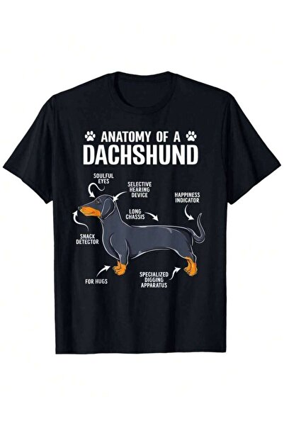 25W تي شيرت Anatomy Of A Dachshund Funny Doxie Dog Puppy Loose Style جديد للج...