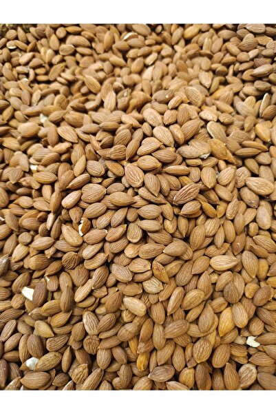 Gün Kurusu Çekirdek 1 kg