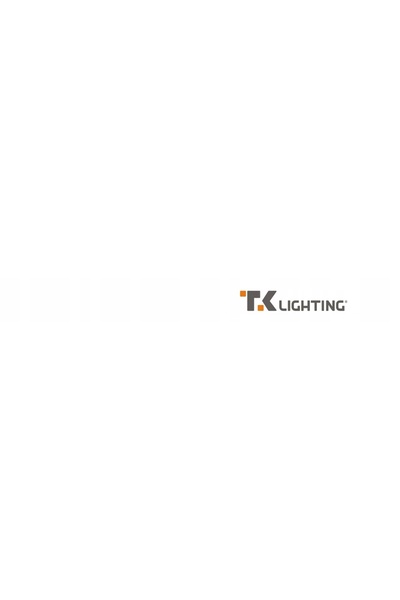 TK-Lighting Reflector pe șină trifazat TRACER 3F 6057 TK Lighting + GRATUIT