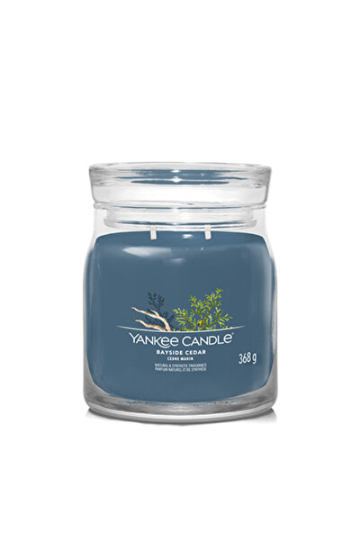 Yankee Candle Средна свещ Бейсайд Сидър Сигурнет, 368 г