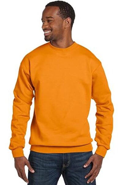 HANES Men's Ecosmart Fleece Sweatshirt, Cotton-blend Pullover, Crewneck Sweat...