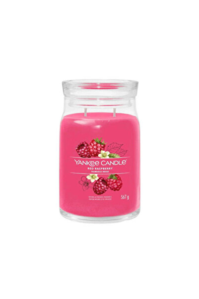 Yankee Candle Αρωματικό Κερί Signature σε Βάζο με Άρωμα Κόκκινης Βατόμουρο 56...
