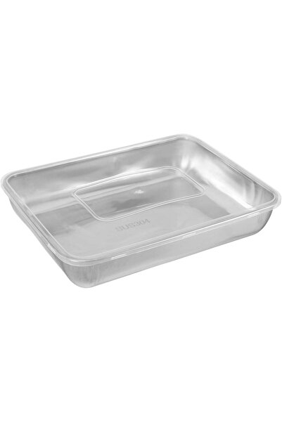 pınaxar Multi-Purpose Stainless Steel Oven and Storage Container (25X20X5 cm)