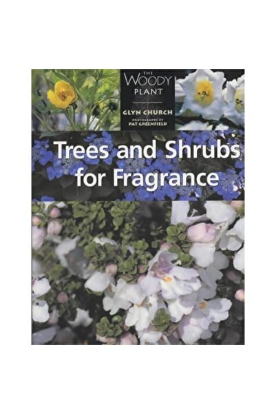 Generic (Unbranded) Arbore și arbuști pentru parfum