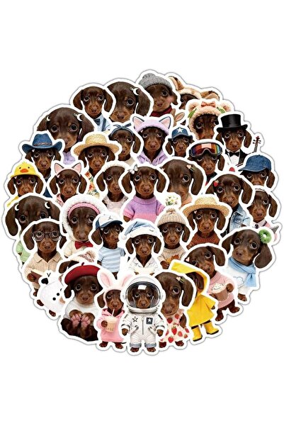 Generic Japanese Rice Balls Sushi Stickers 60 Pieces Vinyl Waterproof Decal f...