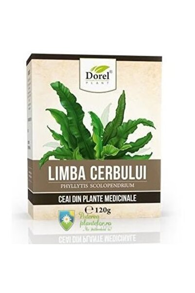 Dorel Plant Τσάι Γλώσσας Ελαφιού (Ναβαλνίκ) 120γρ