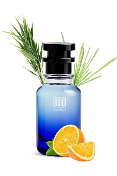 OUD AL MEYDAN Oil Based Perfume for Men – Inspired by Avintus Kolone – Long-L...