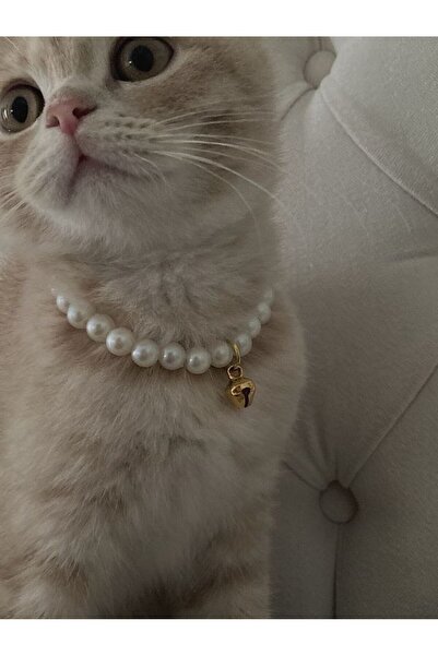 Kedi ve Küçük Köpekler için Zarif İnci Kolye