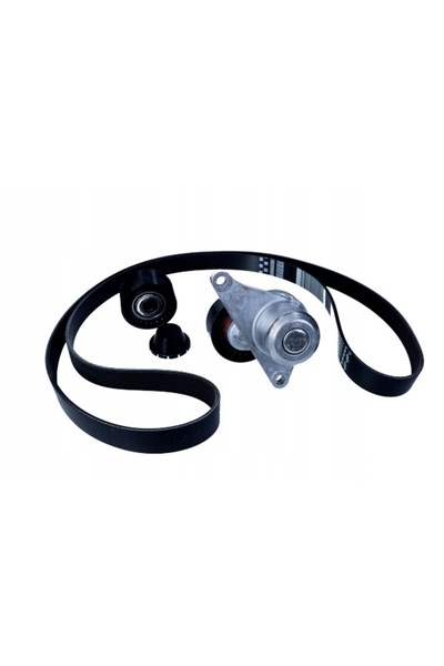 NO BRAND Tensionator curea alternator LAGUNA III, MEGANE III, SCENIC III 2.0 DCI