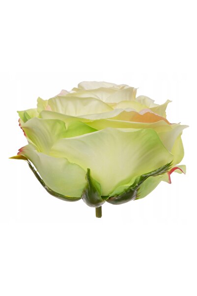 NO BRAND Capete de flori de trandafir premium, roz, cu margine verde deschis,...