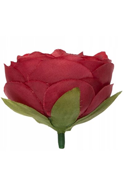 NO BRAND 48X JASKIER PEŁNIK BORDO RANUNCULUS CAP DE LUCRU