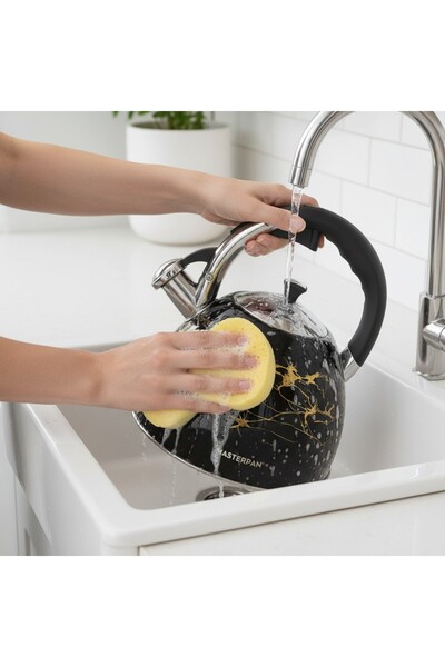 Masterpan Ceainic cu fluier tradițional din oțel rezistent 3,0L - 1027 NEGRU