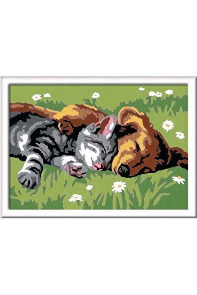 RAVENSBURGER Set DIY de pictură pe numere pentru copii, Tablouri DIY, Cadou, ...