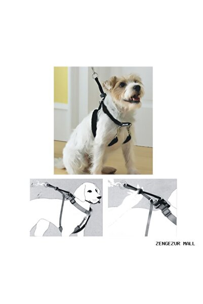 Pawise Zengezur Dog Training XS (34"X9-12") (171824) Training Collar
