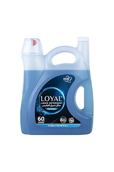 Generic Brand Loyal Liquid Laundry Detergent, 3000 ML (3000 ML)