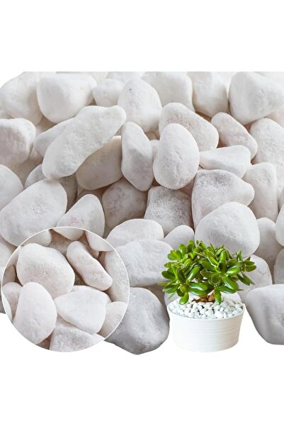 Generic Natural Large White River Rocks 3-7cm – Decorative Stones for Plants,...