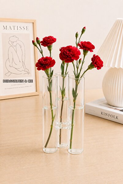 Karçiçeği Home 3-Piece Glass Vase Decorative Flower Holder Modern Design Tran...