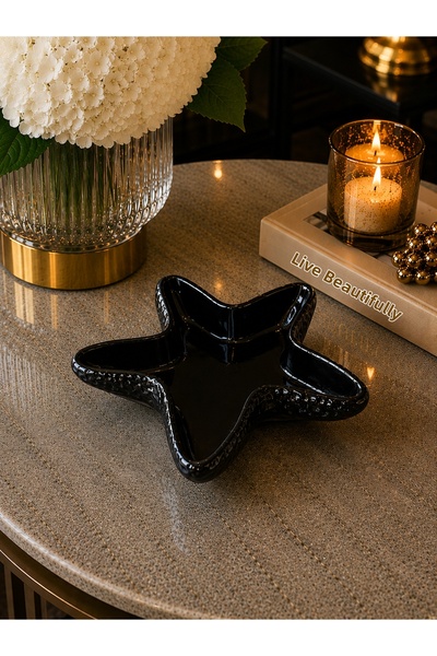 Deslina Sea Star Decorative Home & Office Decoration Object