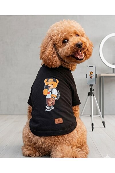 Peti Tailor Köpek Tişörtü Compak Penye Selfici Ayıcık Baskılı Siyah Kısa Koll...