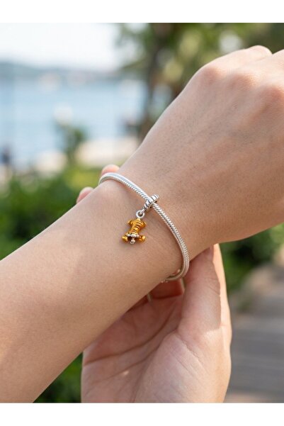 My Story Winnie The Pooh Tigger Sallantılı Gümüş Charm