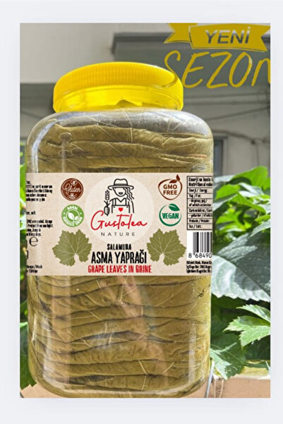 GN Gustolea Nature Manisa Sultaniye Ilk Hasat Ince Damarsız Salamura Uç Asma ...