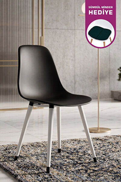 Eames White Wooden Leg Plastic Black Chair