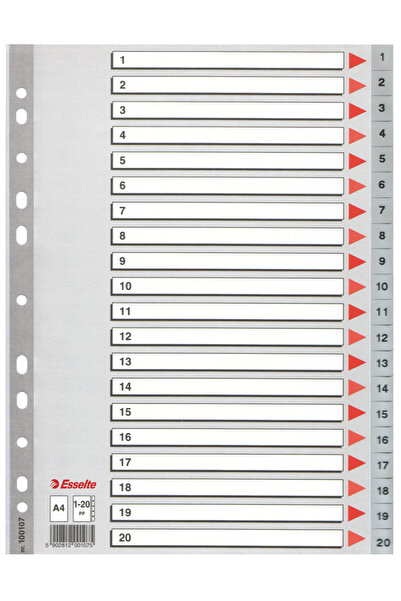 Esselte Divizoare index din plastic 1-20