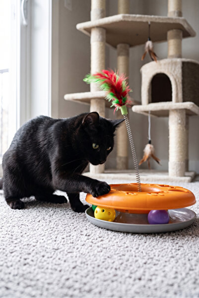 Harika bir ev Springy and Furry Catching Cat Play Circle