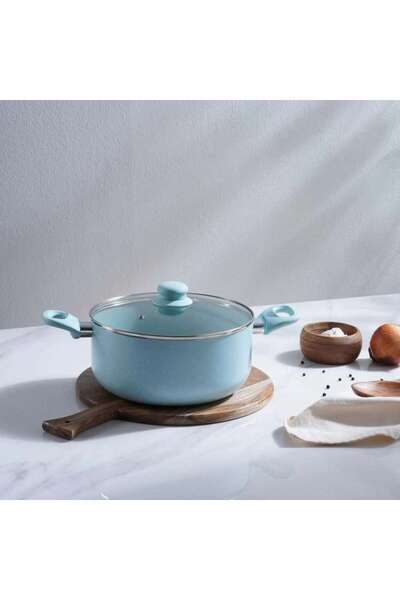 PAN HOME قدر طهي ويلسون مع غطاء قطر 20 سم - أزرق