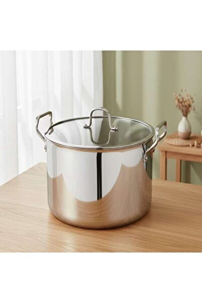 PAN HOME Splendor Triply Stainless Steel Cooking Pot With Lid Dia24cm -chrome