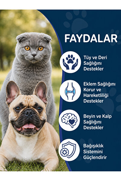 Dr. Nature's Kedi Omega 3 Somon Yağı 150 ml – Deri ve Tüy Sağlığı Destekleyici Balık Yağı