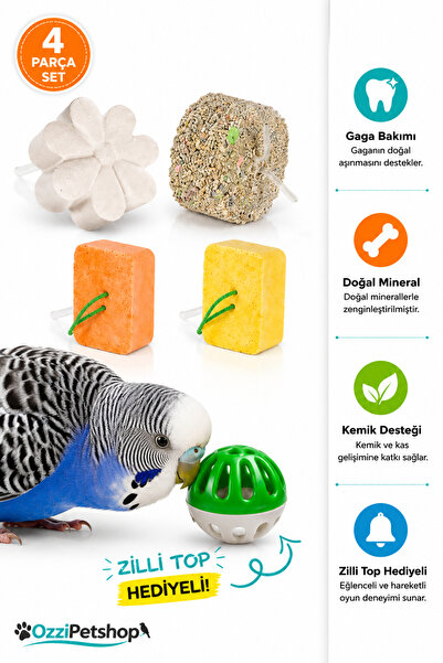 ozzipetshop Muhabbet Kuşu Mineral Blok Seti Gaga Taşı Kalamar Kemiği Kalsiyum...