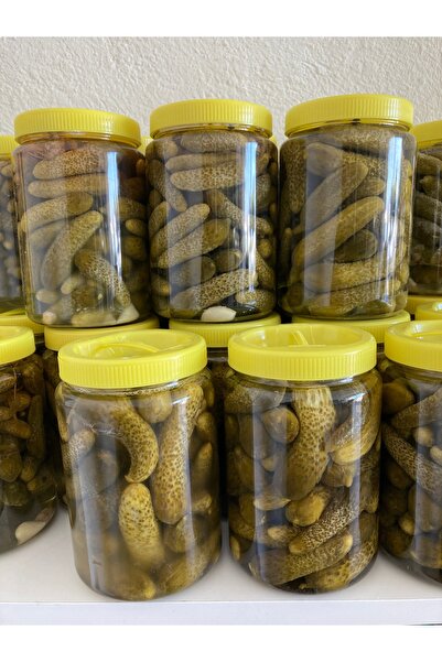 ALTIN GIDA 45 500 Gr Kornişon Turşu – Doğal, Kıtır ve Lezzetli
