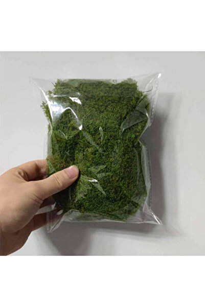 Choice about 20g about 20g Artificial Green Plants Polyester Moss Grass Home ...
