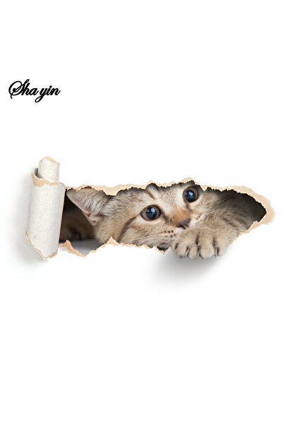 Choice sticker Cartoon Hole Breaking Cat Toilet Sticker, Bathroom Beautificat...